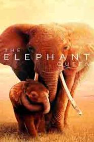 The Elephant Queen (2019) Hindi Documentary