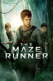 The Maze Runner (2014) Hindi Dubbed
