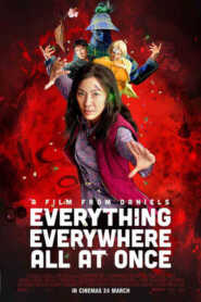 Everything Everywhere All at Once (2022) ORG Hindi Dubbed